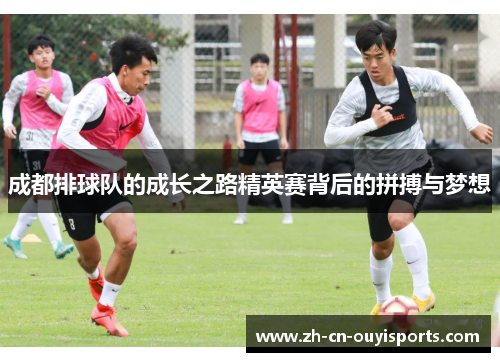 成都排球队的成长之路精英赛背后的拼搏与梦想