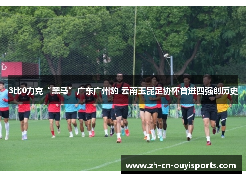 3比0力克“黑马”广东广州豹 云南玉昆足协杯首进四强创历史