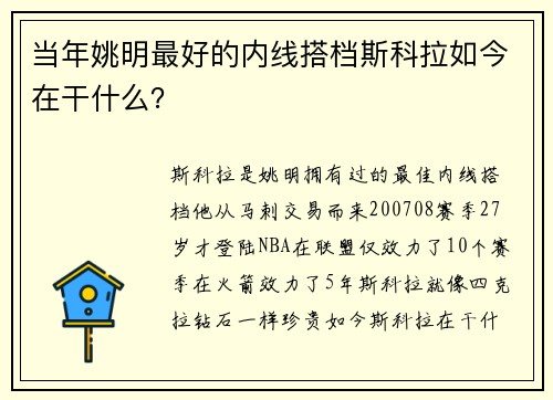 当年姚明最好的内线搭档斯科拉如今在干什么？